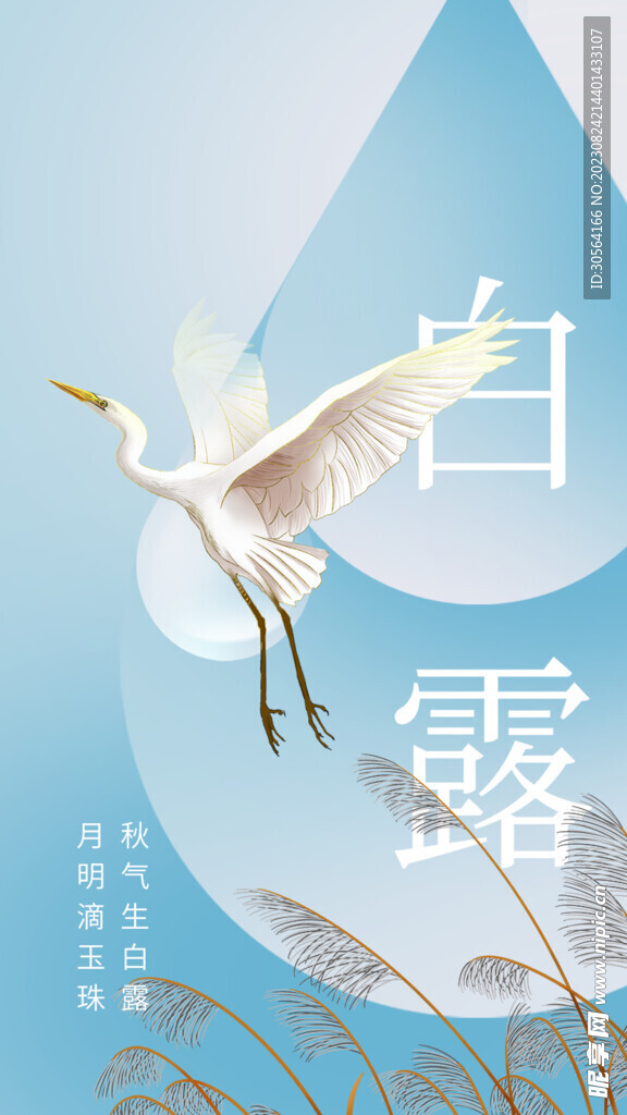 白露