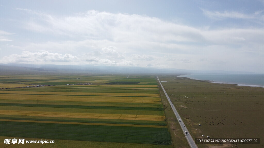 草地 田地