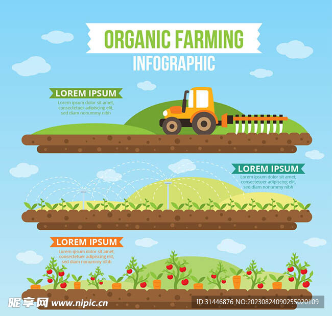 创意有机农业信息图矢量素材