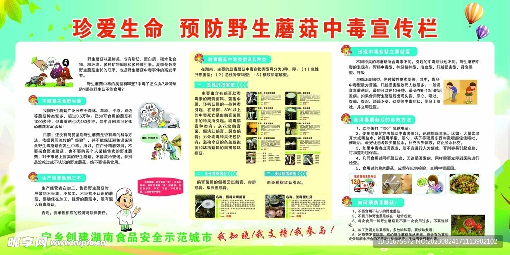 预防野生蘑菇中毒宣传栏