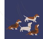 腊肠犬