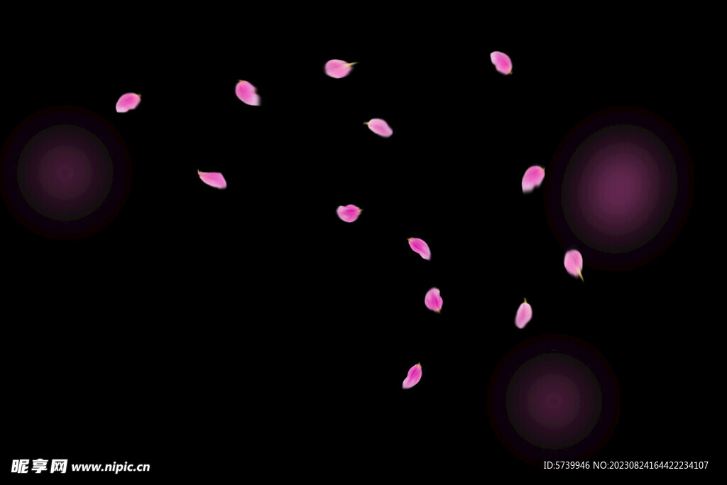 飘落花瓣鲜花漂浮元素图片 