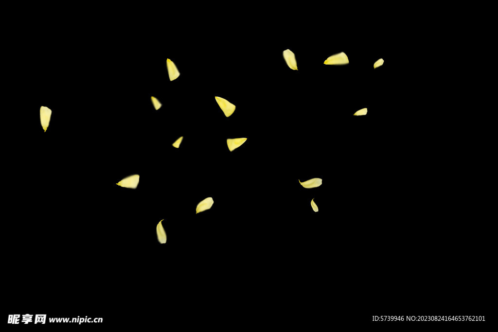 飘落黄花瓣鲜花漂浮元素元素图片