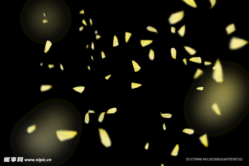 飘落黄花瓣鲜花漂浮元素元素图片