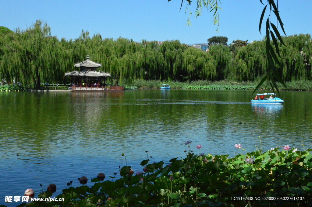 公园风景 