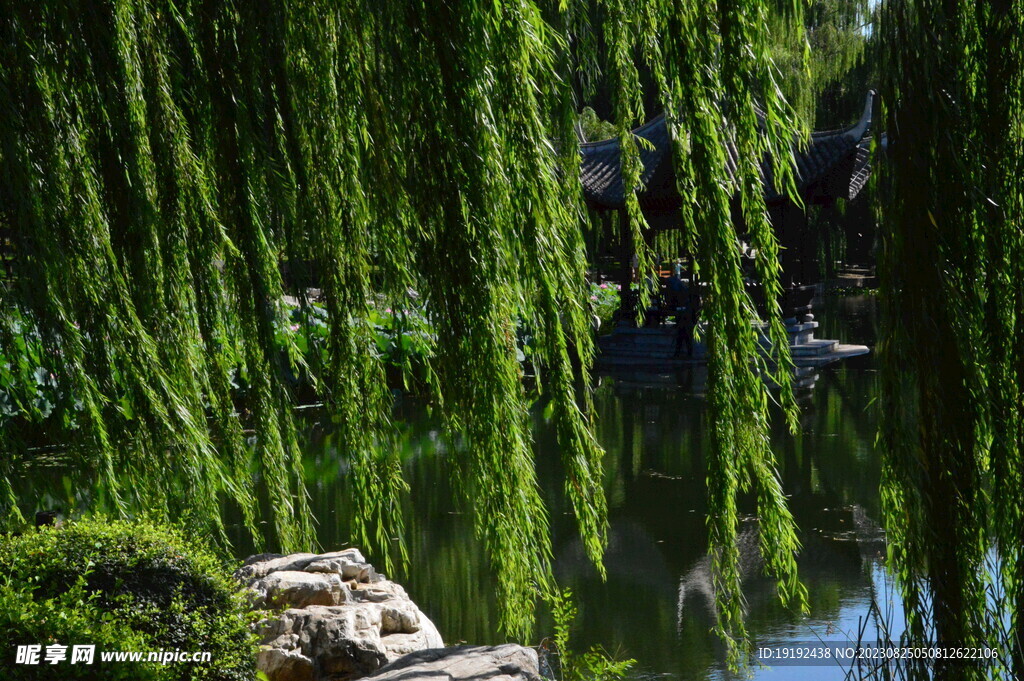公园风景
