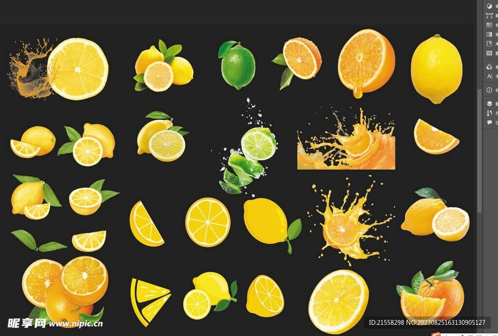 橙子  柠檬 素材