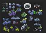 蓝莓素材合集