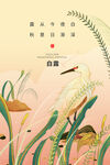 白露节气 