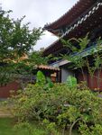后院
