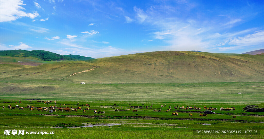 内蒙古草原牧场放牧