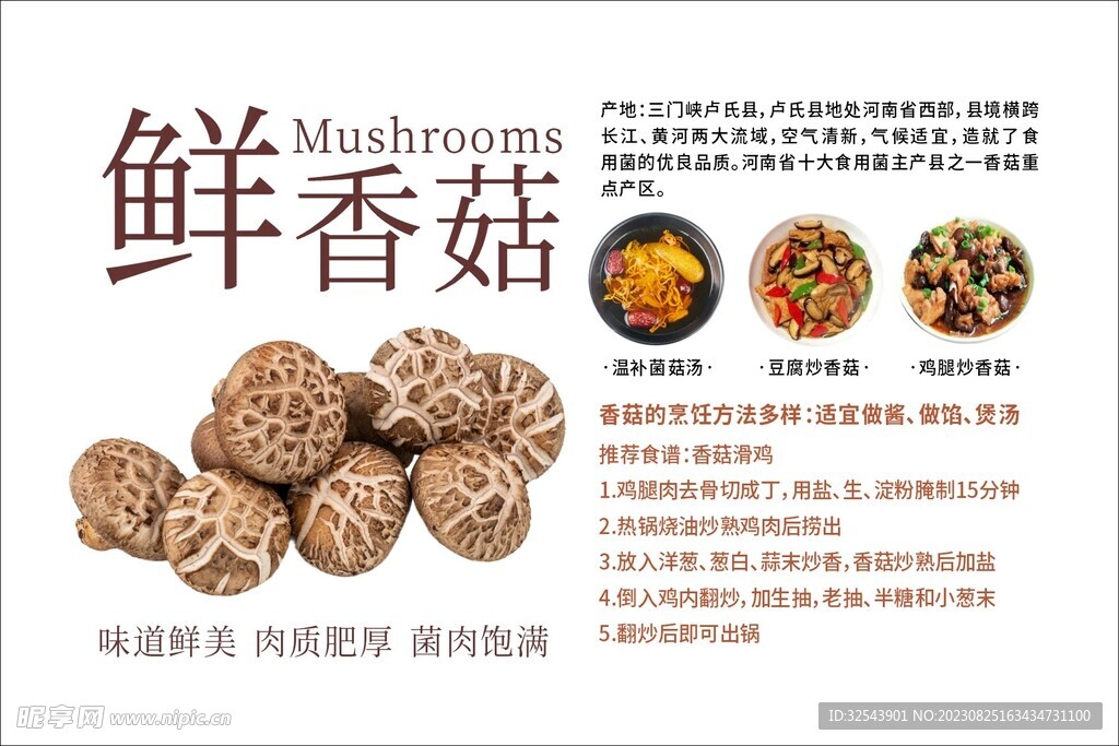 香菇