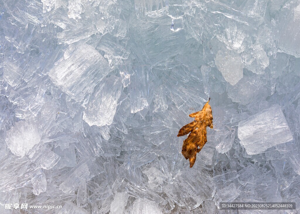 冰碎和落叶