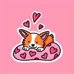 柴犬