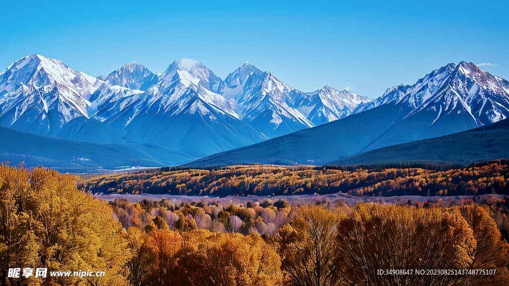 美丽的大山