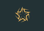 星形 logo