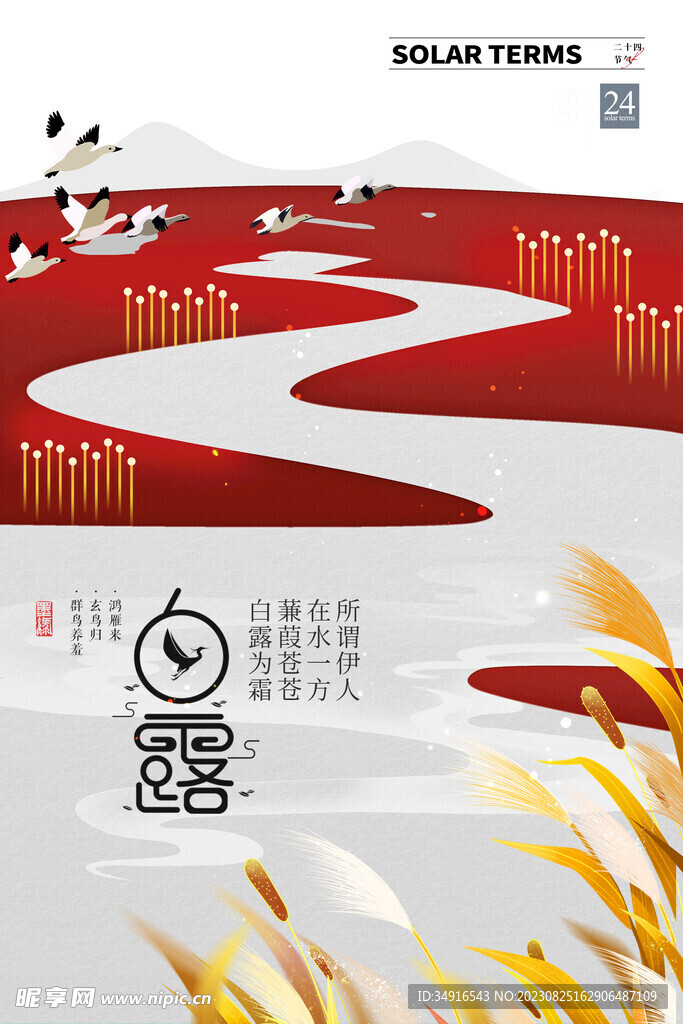 白露节气海报