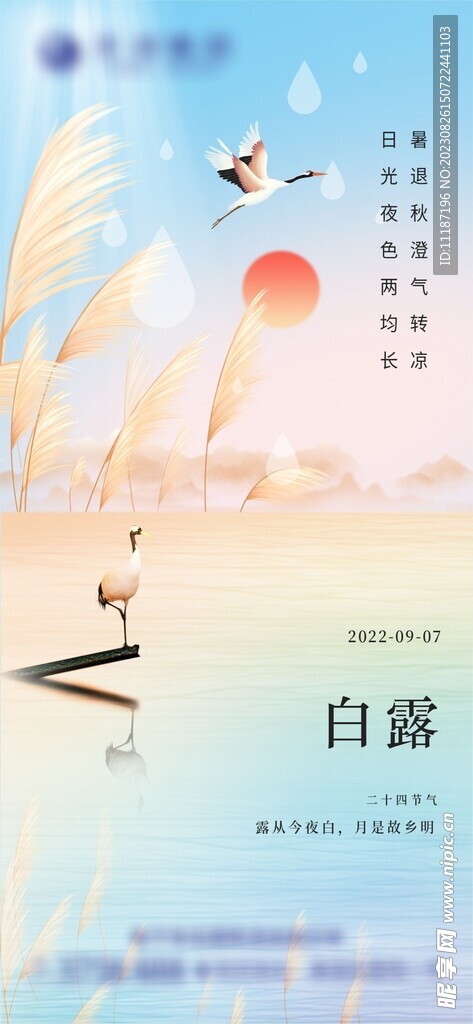 白露