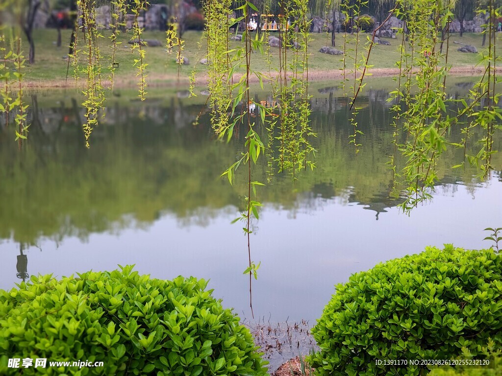 护城河之春