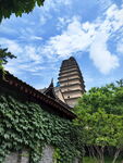小雁塔组图1