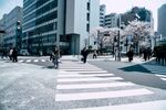 马路