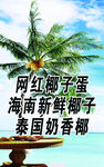 网红椰子蛋