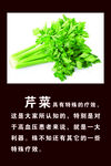 芹菜的营养价值