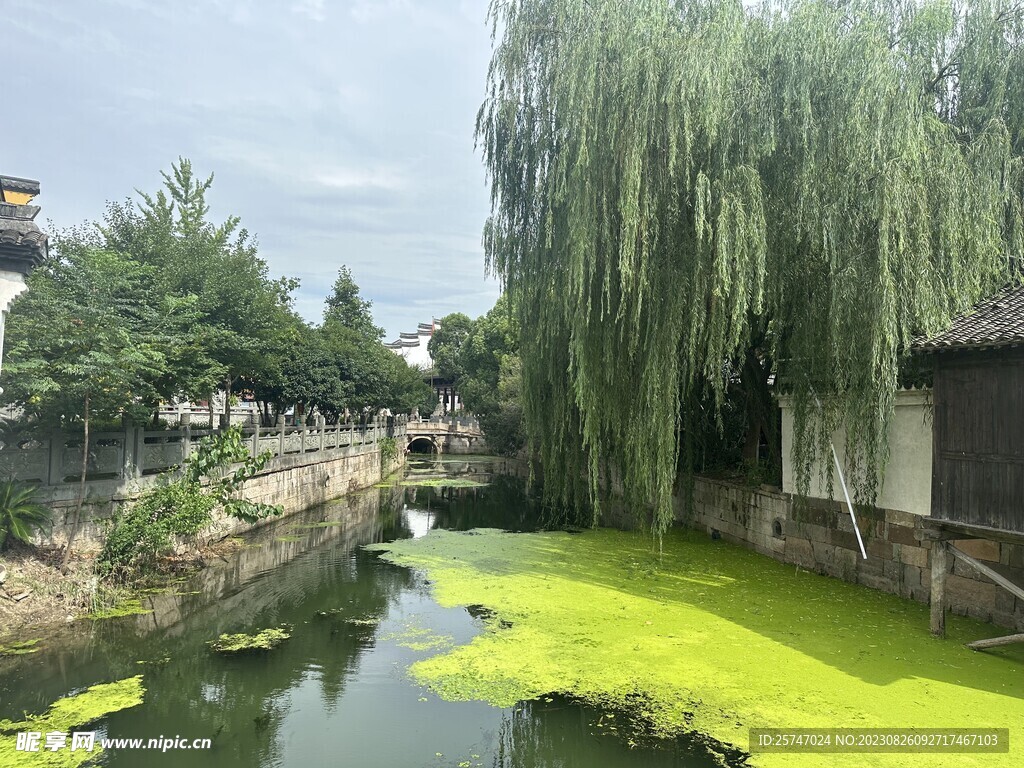 乌镇护城河