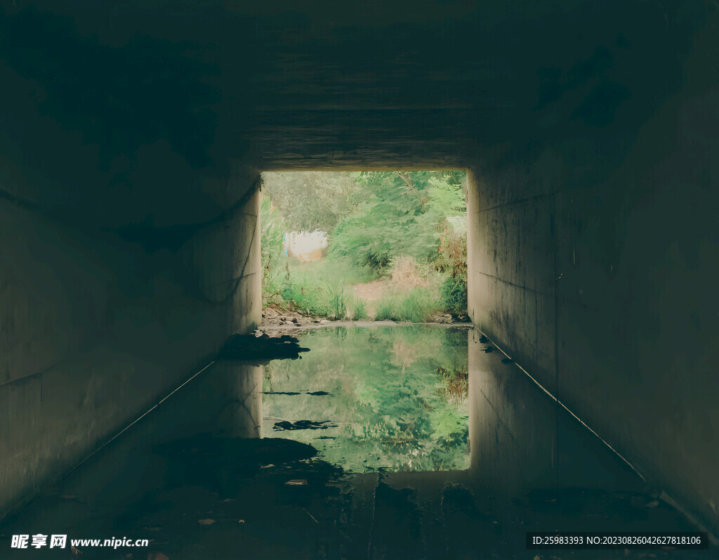 校园小路