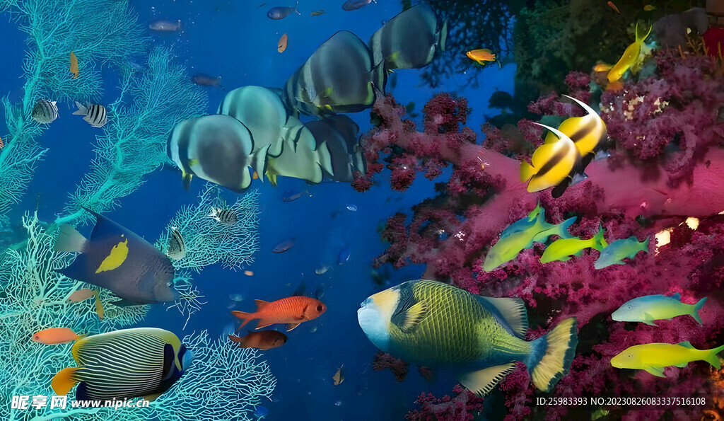 海洋生物