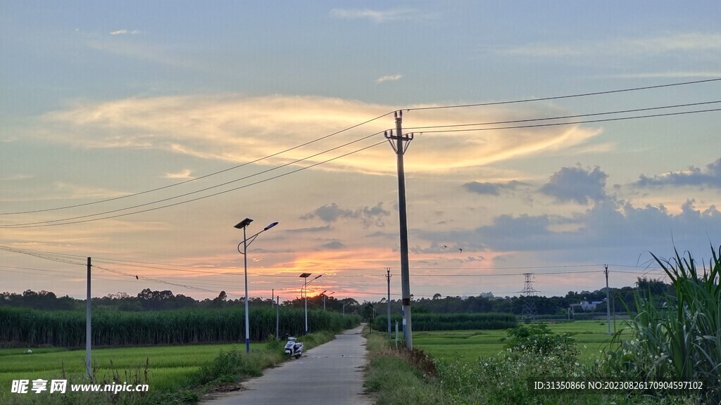 炭窑村乡村道路风景