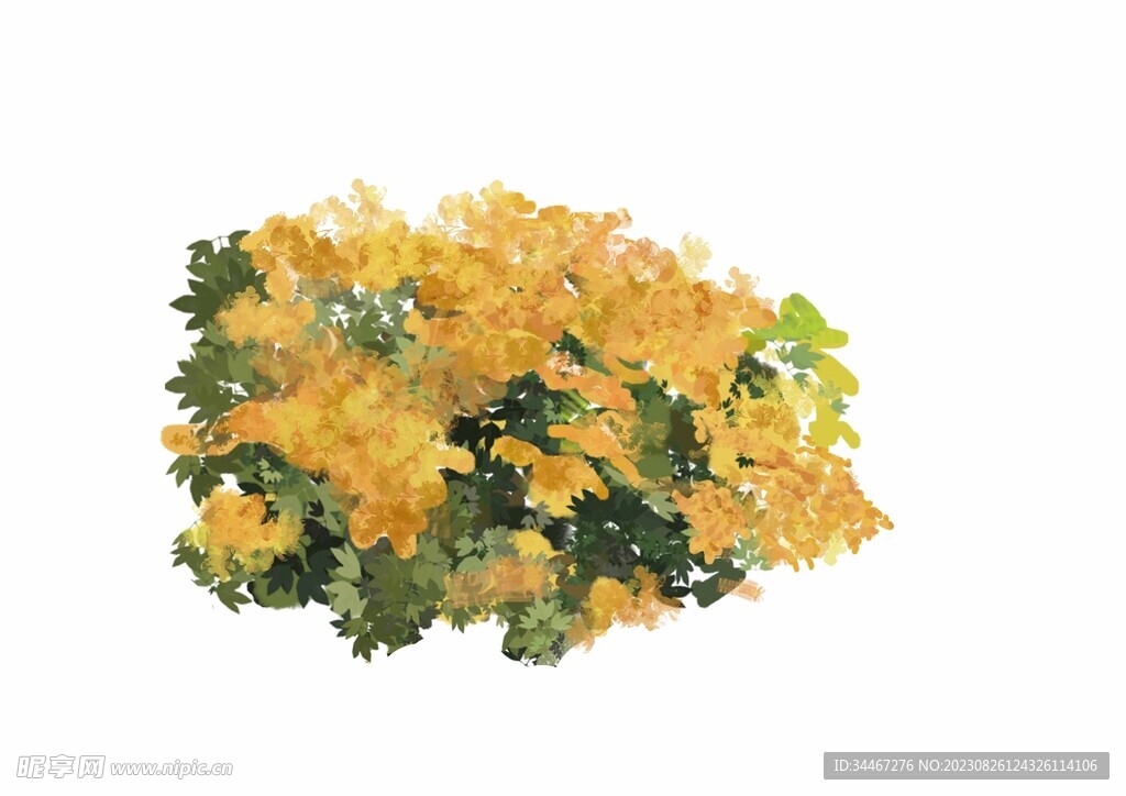 花丛 