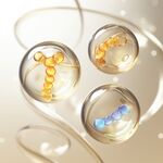 水分子