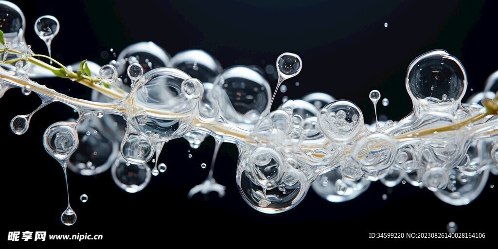 水分子