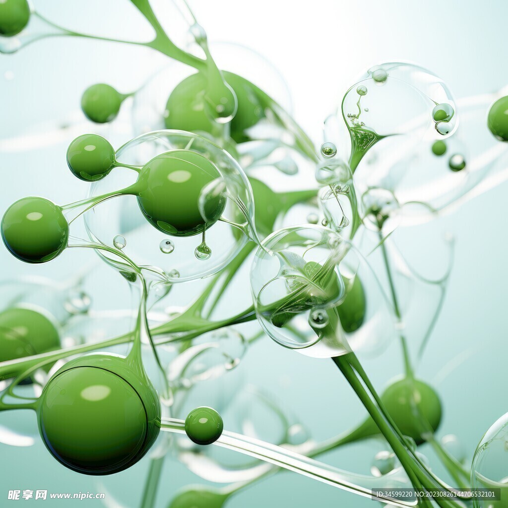 水分子
