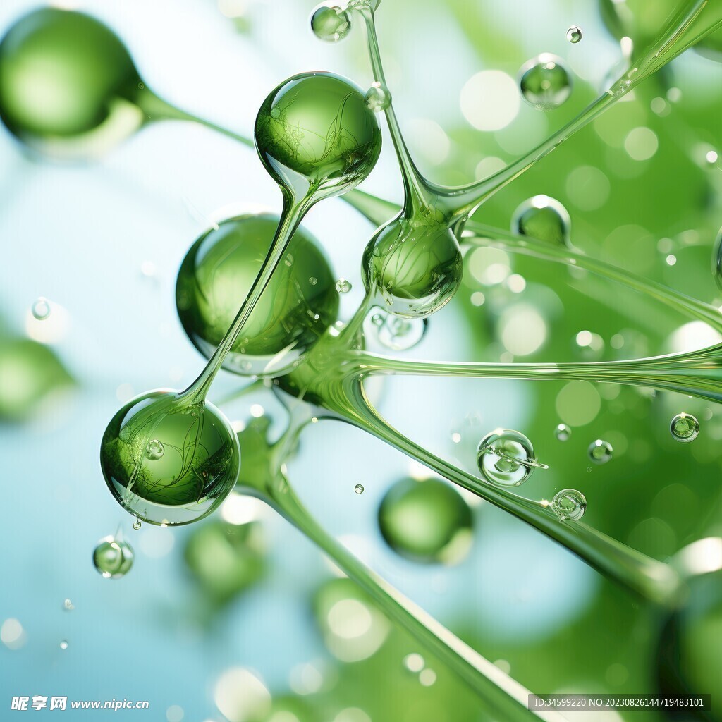 水分子