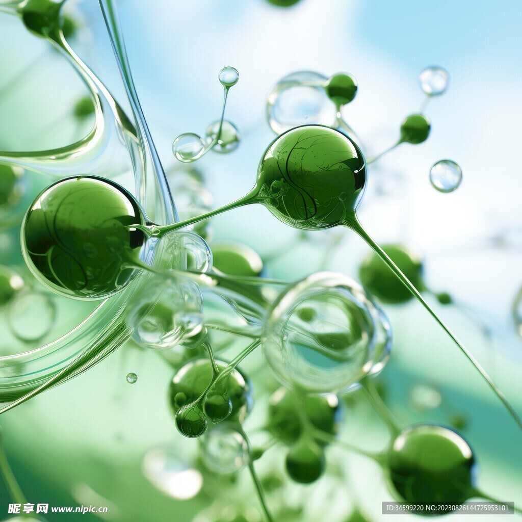 水分子