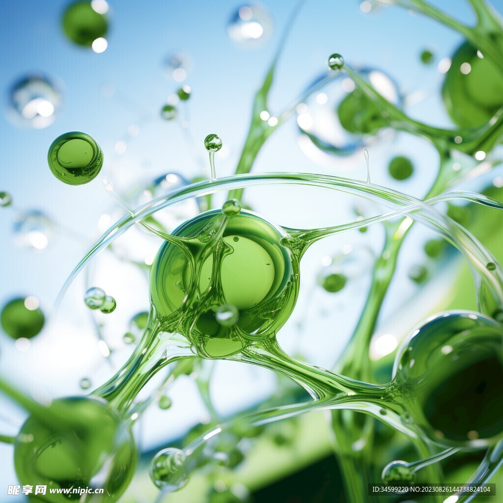 水分子