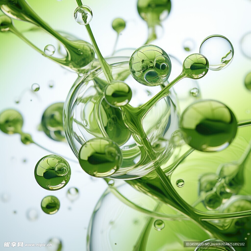 水分子