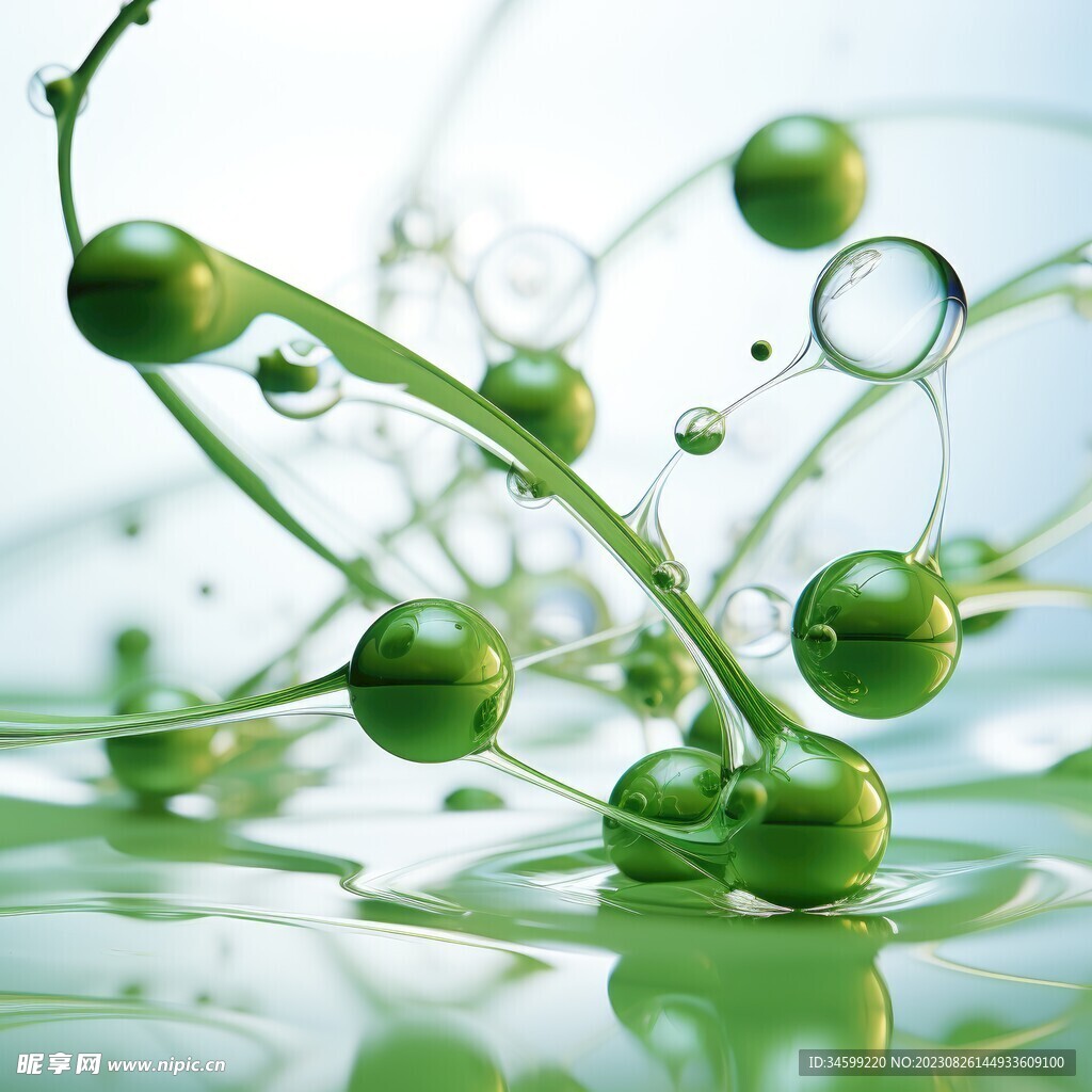 水分子