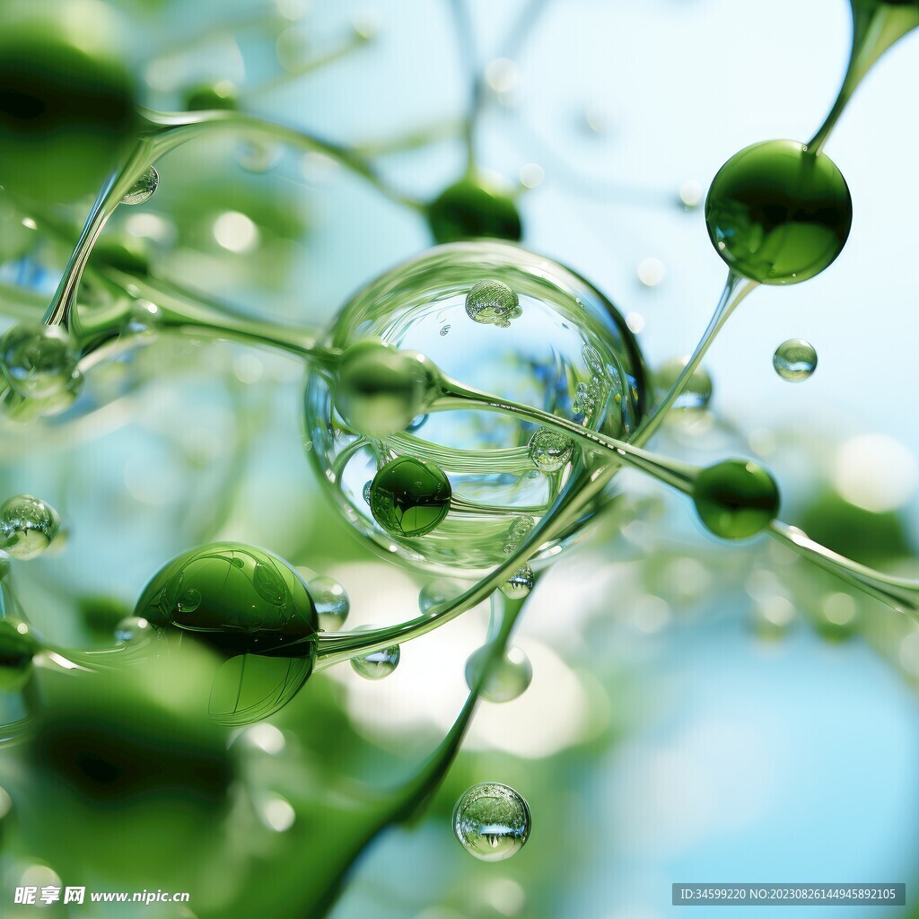 水分子