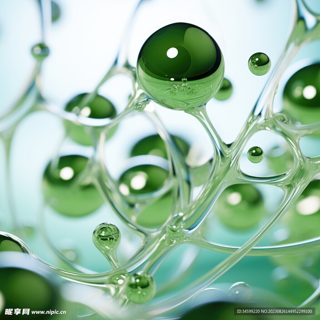 水分子