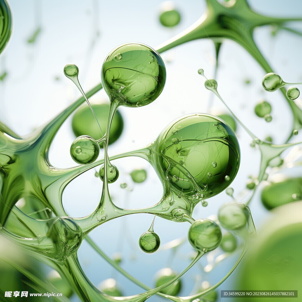 水分子