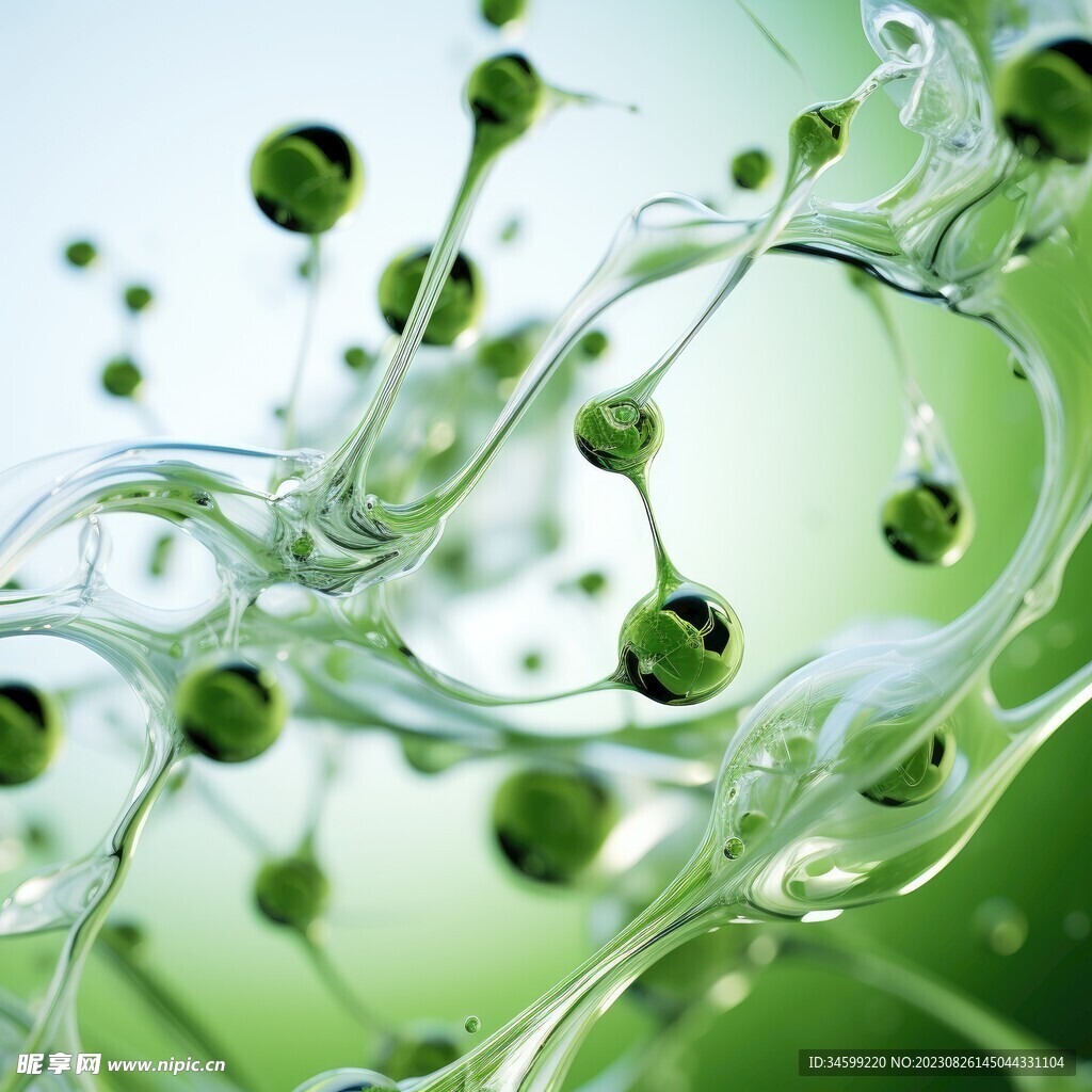 水分子