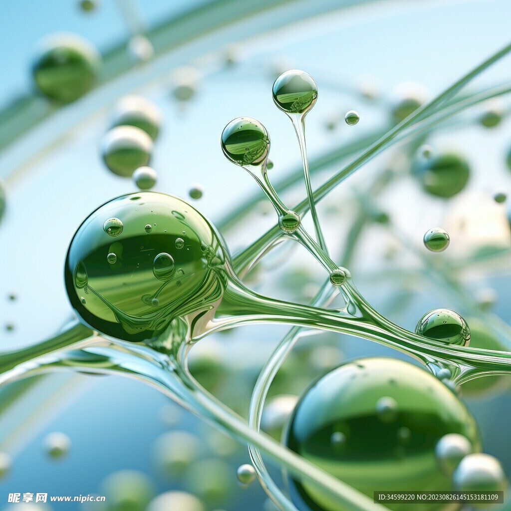 水分子