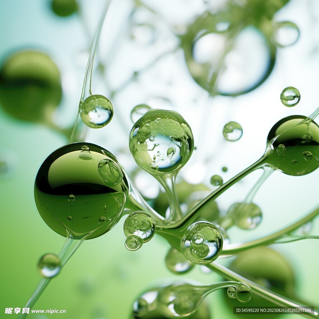 水分子
