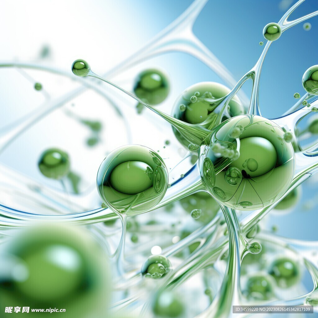 水分子