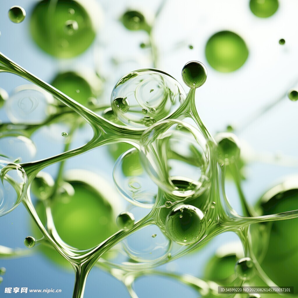 水分子