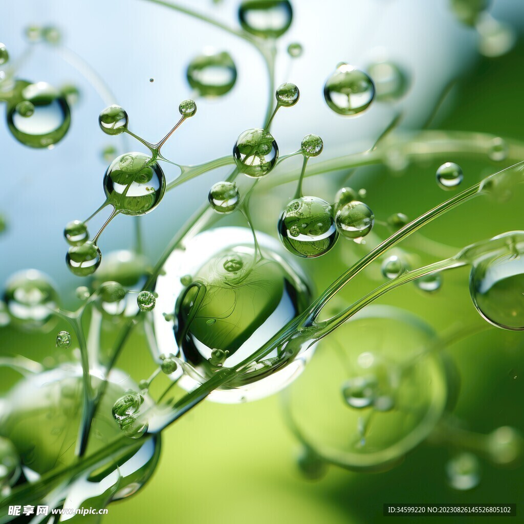 水分子