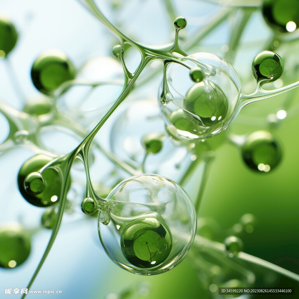 水分子